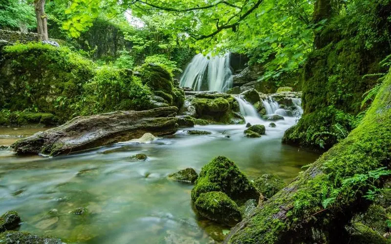 绿色高效